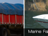 truck-and-marine-final